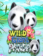 Medusa โบนัส: สูตรการเล่นเพื่อชนะที่มากกว่า